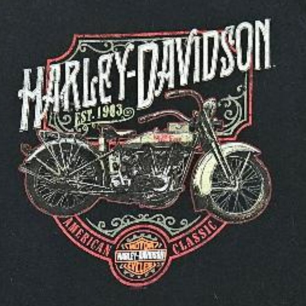Harley Davidson T-Shirt, Size L, New With Out Tag
